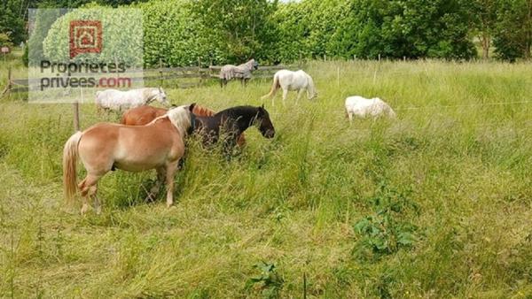 Demeure - 14 pièces - 400 m2