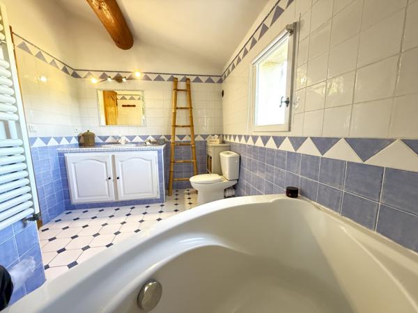 Meyrargues (13650) Maison 170m2 sur un terrain de 4000m2 piscine et garage