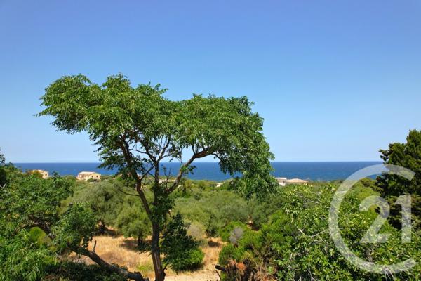 Maison à vendre  5 pièces - 148 m2 CORBARA - 202