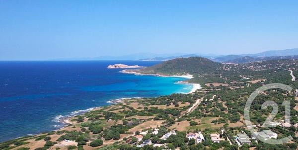 Maison à vendre  5 pièces - 148 m2 CORBARA - 202