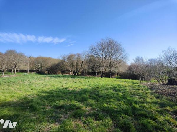 THEIX NOYALO. Longère à rénover.