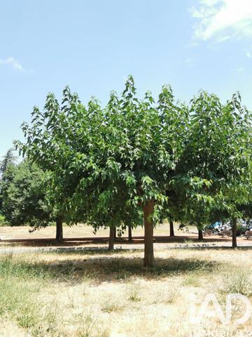 Appartement à vendre 2 pièces 43 m² Brignoles