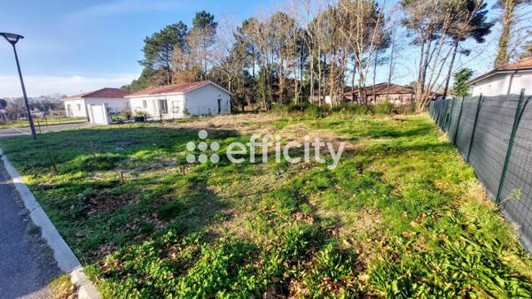 Terrain - 603 m²