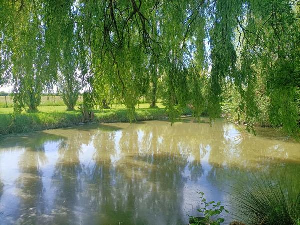 Maison Tonnay Charente
