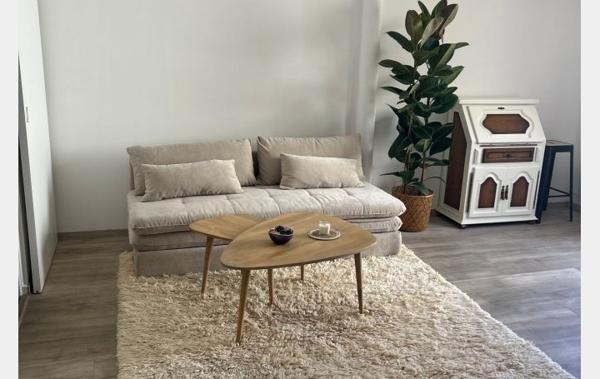 Vente Appartement P1 avec combles aménagées rénové(e) Le grau-du-roi   