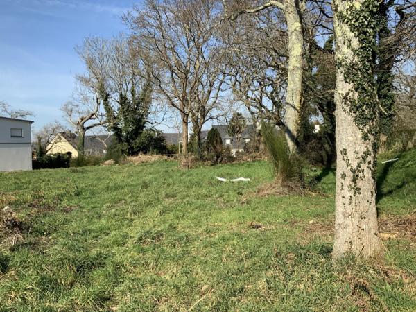 Un terrain constructible à proximité des plages du Cabellou