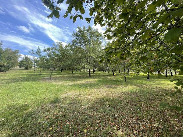 La Puye (86260) TERRAIN CONSTRUCTIBLE