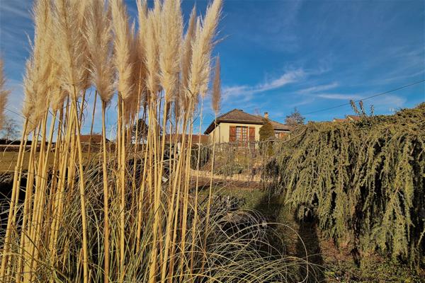 À Lapalisse, Maison des années 80 avec un grand sous-sol, grande dépendance et jardin arboré.