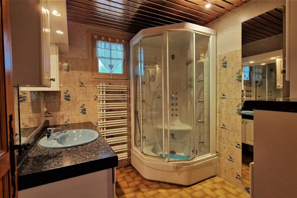 À Lapalisse, Maison des années 80 avec un grand sous-sol, grande dépendance et jardin arboré.