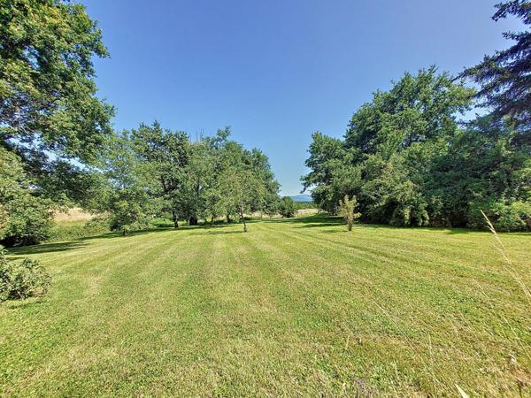 Belle maison avec terrains constructibles