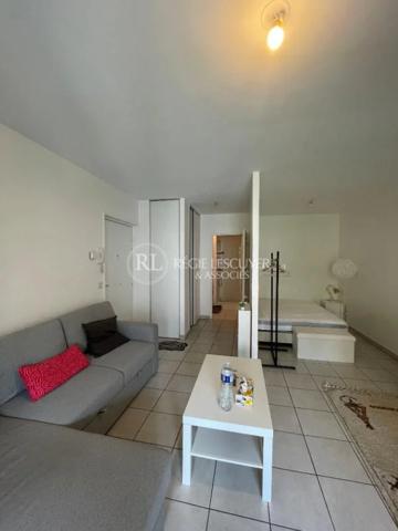 Appartement à louer à Villeurbanne (69100)