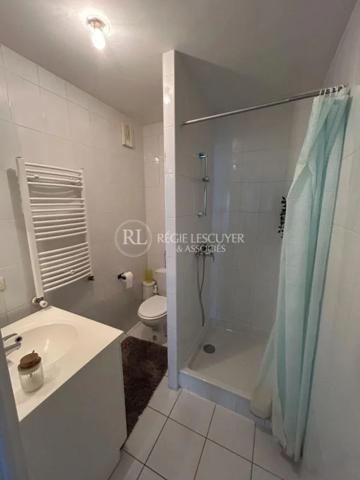 Appartement à louer à Villeurbanne (69100)