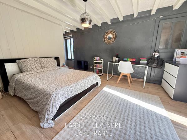 Maison à vendre 12 pièces SCEAUX D'ANJOU (49)