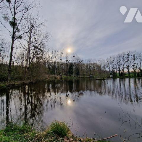 Divers plan d'eau et petit bois.

Pour toutes demandes, merci de contacter l"Etude au 02 43 0...