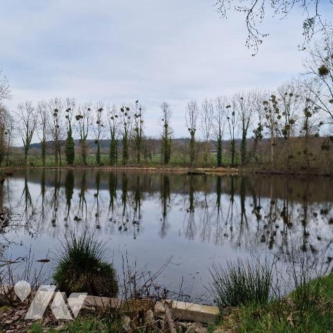 Divers plan d'eau et petit bois.

Pour toutes demandes, merci de contacter l"Etude au 02 43 0...