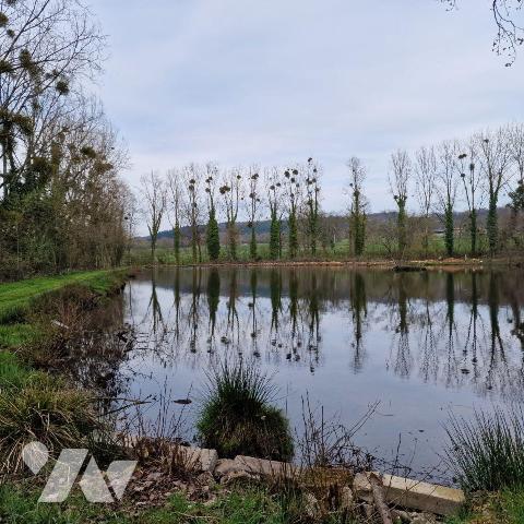 Divers plan d'eau et petit bois.

Pour toutes demandes, merci de contacter l"Etude au 02 43 0...
