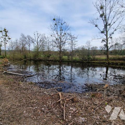 Divers plan d'eau et petit bois.

Pour toutes demandes, merci de contacter l"Etude au 02 43 0...