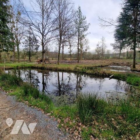 Divers plan d'eau et petit bois.

Pour toutes demandes, merci de contacter l"Etude au 02 43 0...