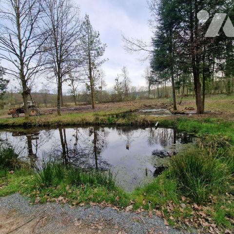 Divers plan d'eau et petit bois.

Pour toutes demandes, merci de contacter l"Etude au 02 43 0...