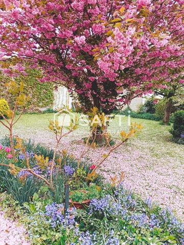 Superbe maison de caractère avec local et appartement annéxés