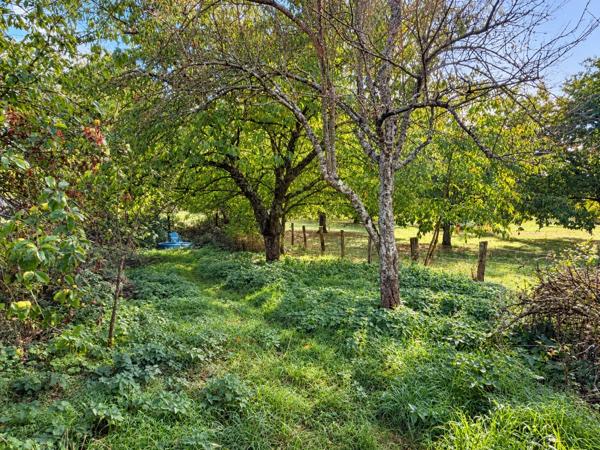 BELLE MAISON DE CARACTÈRE AVEC JARDIN, GRANGE ET POTENTIEL SECOND LOGEMENT