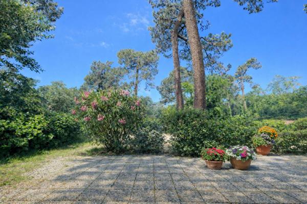 Au Pyla, appartement avec 2 chambres à 300 m de la plage Pyla-sur-Mer
