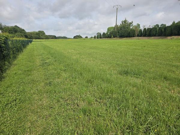 Vente / Terrain constructible