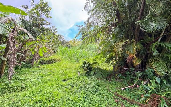 Maison à vendre    4 pièces •  Saint-Claude