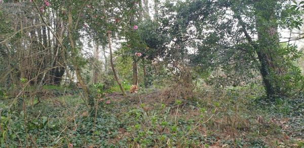 Terrain à Batir à vendre à Plougonvelin dans le Finistère (29217), ref : 29058-1678