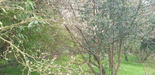 Terrain à Batir à vendre à Plougonvelin dans le Finistère (29217), ref : 29058-1678