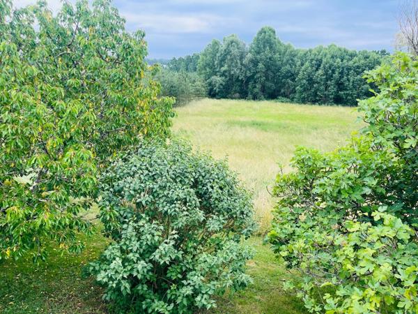 Jolie maison rénovée de 2/3 chambres avec studio indépendant sur un beau terrain arboré de 3600m2 sans vis à vis