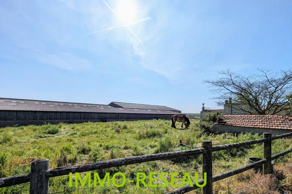 Maison de campagne à SAINT HILAIRE DE RIEZ (85270)