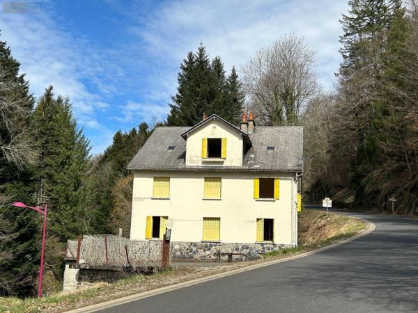 Immeuble à vendre à Condat dans le Cantal (15190), ref : FG/2186