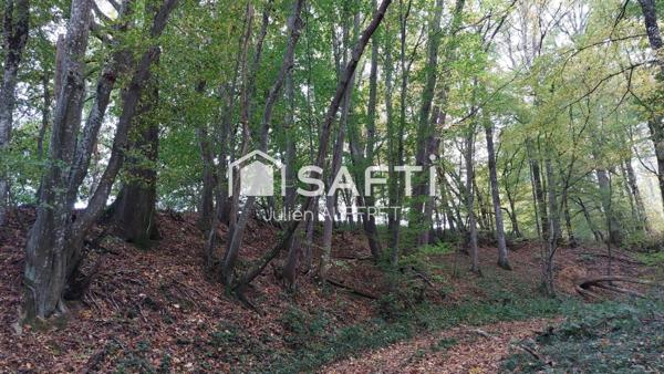 Parcelle Bois
