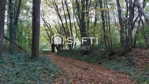 Parcelle Bois