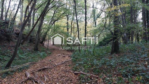 Parcelle Bois