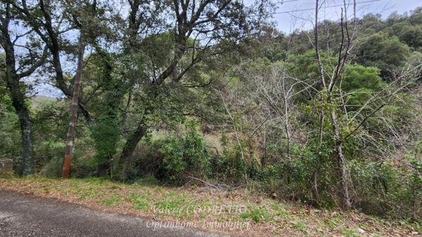 À vendre terrain à Collobrières (Var) de 41 460,00 m² - Parcelle forestière.