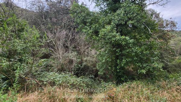 À vendre terrain à Collobrières (Var) de 41 460,00 m² - Parcelle forestière.