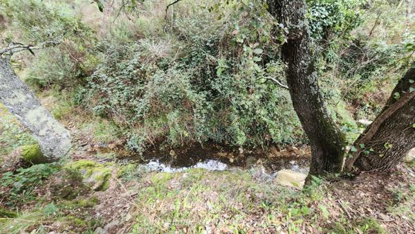 À vendre terrain à Collobrières (Var) de 41 460,00 m² - Parcelle forestière.