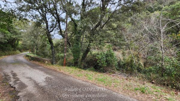 À vendre terrain à Collobrières (Var) de 41 460,00 m² - Parcelle forestière.