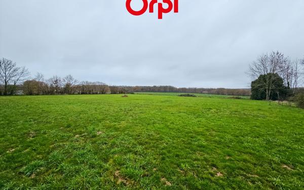 Terrain à vendre    Le Plessis-Dorin