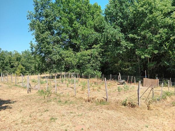 Corps de ferme quercynois avec piscine sur 3 hectares de bois et prairies