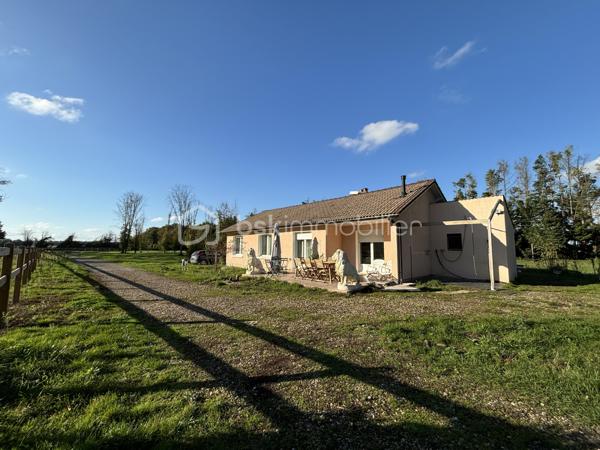 à Vimory, village paisible ayant ses commerces, et à 10 minutes de Montargis cette belle propriété avec ses installations équestres le tout sur un terrain de 2,8 hectares entièrement clos se compose comme ceci :

Maison de plein pied de 120 m2 :
- une entrée
- 3chambres dont une d'environ 25m2
- un beau salon séjour
- 1 salle de bain
- 1 wc 
- 1 cuisine entièrement équipée (avec électroménager de qualité)
- 1 cellier
- 1 local technique attenant à la maison
- 1 terrasse 

Installations équestres : 
- 2 prés clôturés
- 3 boxes de 3m*4m disposant chacun d'un abreuvoir et d'une mangeoire
- 1 dépendance comprenant un garage et une sellerie
- 1 douche
possibilité de créer un 3ème pré ,des paddock, ou une carrière

les plus de cette propriété : 
 - ballon thermodynamique
- double vitrage pvc
- pompe à chaleur air/air 
- poêle à granulé
- fibre
- fosse toute eaux
- puit ( en eau, prévoir une pompe de relevage)
- arbres fruitiers

que vous soyez un particulier souhaitant avoir ses chevaux à la maison ou un pro souhaitant s'installer , n'hésitez pas, plus de photos sur demande.