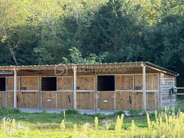 à Vimory, village paisible ayant ses commerces, et à 10 minutes de Montargis cette belle propriété avec ses installations équestres le tout sur un terrain de 2,8 hectares entièrement clos se compose comme ceci :

Maison de plein pied de 120 m2 :
- une entrée
- 3chambres dont une d'environ 25m2
- un beau salon séjour
- 1 salle de bain
- 1 wc 
- 1 cuisine entièrement équipée (avec électroménager de qualité)
- 1 cellier
- 1 local technique attenant à la maison
- 1 terrasse 

Installations équestres : 
- 2 prés clôturés
- 3 boxes de 3m*4m disposant chacun d'un abreuvoir et d'une mangeoire
- 1 dépendance comprenant un garage et une sellerie
- 1 douche
possibilité de créer un 3ème pré ,des paddock, ou une carrière

les plus de cette propriété : 
 - ballon thermodynamique
- double vitrage pvc
- pompe à chaleur air/air 
- poêle à granulé
- fibre
- fosse toute eaux
- puit ( en eau, prévoir une pompe de relevage)
- arbres fruitiers

que vous soyez un particulier souhaitant avoir ses chevaux à la maison ou un pro souhaitant s'installer , n'hésitez pas, plus de photos sur demande.