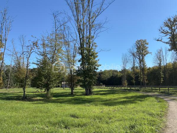 à Vimory, village paisible ayant ses commerces, et à 10 minutes de Montargis cette belle propriété avec ses installations équestres le tout sur un terrain de 2,8 hectares entièrement clos se compose comme ceci :

Maison de plein pied de 120 m2 :
- une entrée
- 3chambres dont une d'environ 25m2
- un beau salon séjour
- 1 salle de bain
- 1 wc 
- 1 cuisine entièrement équipée (avec électroménager de qualité)
- 1 cellier
- 1 local technique attenant à la maison
- 1 terrasse 

Installations équestres : 
- 2 prés clôturés
- 3 boxes de 3m*4m disposant chacun d'un abreuvoir et d'une mangeoire
- 1 dépendance comprenant un garage et une sellerie
- 1 douche
possibilité de créer un 3ème pré ,des paddock, ou une carrière

les plus de cette propriété : 
 - ballon thermodynamique
- double vitrage pvc
- pompe à chaleur air/air 
- poêle à granulé
- fibre
- fosse toute eaux
- puit ( en eau, prévoir une pompe de relevage)
- arbres fruitiers

que vous soyez un particulier souhaitant avoir ses chevaux à la maison ou un pro souhaitant s'installer , n'hésitez pas, plus de photos sur demande.