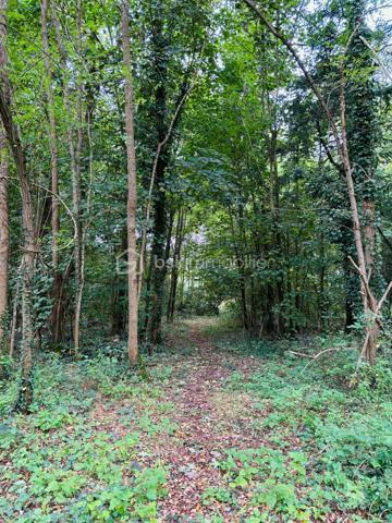 à Vimory, village paisible ayant ses commerces, et à 10 minutes de Montargis cette belle propriété avec ses installations équestres le tout sur un terrain de 2,8 hectares entièrement clos se compose comme ceci :

Maison de plein pied de 120 m2 :
- une entrée
- 3chambres dont une d'environ 25m2
- un beau salon séjour
- 1 salle de bain
- 1 wc 
- 1 cuisine entièrement équipée (avec électroménager de qualité)
- 1 cellier
- 1 local technique attenant à la maison
- 1 terrasse 

Installations équestres : 
- 2 prés clôturés
- 3 boxes de 3m*4m disposant chacun d'un abreuvoir et d'une mangeoire
- 1 dépendance comprenant un garage et une sellerie
- 1 douche
possibilité de créer un 3ème pré ,des paddock, ou une carrière

les plus de cette propriété : 
 - ballon thermodynamique
- double vitrage pvc
- pompe à chaleur air/air 
- poêle à granulé
- fibre
- fosse toute eaux
- puit ( en eau, prévoir une pompe de relevage)
- arbres fruitiers

que vous soyez un particulier souhaitant avoir ses chevaux à la maison ou un pro souhaitant s'installer , n'hésitez pas, plus de photos sur demande.