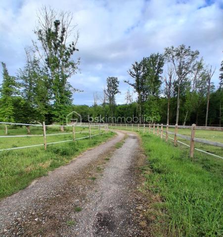 à Vimory, village paisible ayant ses commerces, et à 10 minutes de Montargis cette belle propriété avec ses installations équestres le tout sur un terrain de 2,8 hectares entièrement clos se compose comme ceci :

Maison de plein pied de 120 m2 :
- une entrée
- 3chambres dont une d'environ 25m2
- un beau salon séjour
- 1 salle de bain
- 1 wc 
- 1 cuisine entièrement équipée (avec électroménager de qualité)
- 1 cellier
- 1 local technique attenant à la maison
- 1 terrasse 

Installations équestres : 
- 2 prés clôturés
- 3 boxes de 3m*4m disposant chacun d'un abreuvoir et d'une mangeoire
- 1 dépendance comprenant un garage et une sellerie
- 1 douche
possibilité de créer un 3ème pré ,des paddock, ou une carrière

les plus de cette propriété : 
 - ballon thermodynamique
- double vitrage pvc
- pompe à chaleur air/air 
- poêle à granulé
- fibre
- fosse toute eaux
- puit ( en eau, prévoir une pompe de relevage)
- arbres fruitiers

que vous soyez un particulier souhaitant avoir ses chevaux à la maison ou un pro souhaitant s'installer , n'hésitez pas, plus de photos sur demande.
