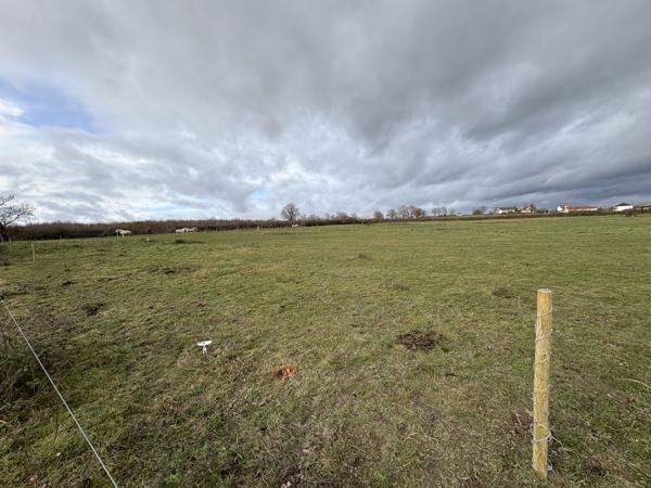 Terrain - 930 m²