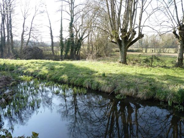 Au milieu d'un parc de plus de 4 ha avec prés, douves, étang, ru, château du XIVème-XVème siècle.