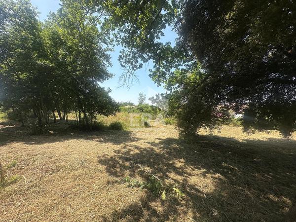 Terrain à Bâtir Tecou 1254 m2